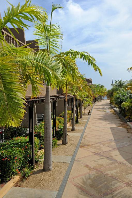 Eden Beach Resort - Bonaire クラレンダイク 部屋 写真